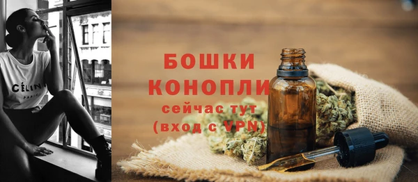 ешки Бородино