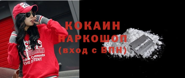 ешки Бородино