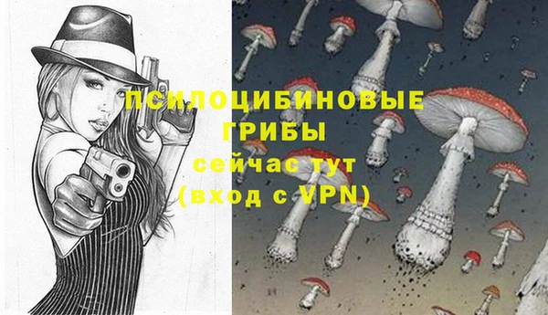 ГАЛЛЮЦИНОГЕННЫЕ ГРИБЫ Бронницы