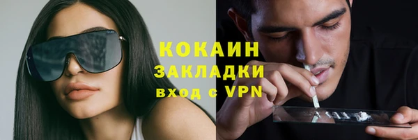 ешки Бородино