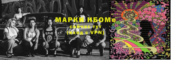 ешки Бородино