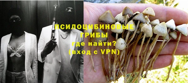 ГАЛЛЮЦИНОГЕННЫЕ ГРИБЫ Бронницы