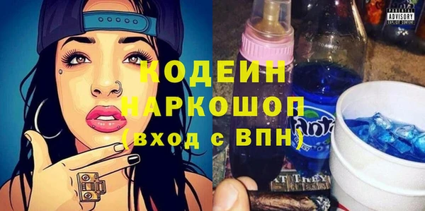 ешки Бородино