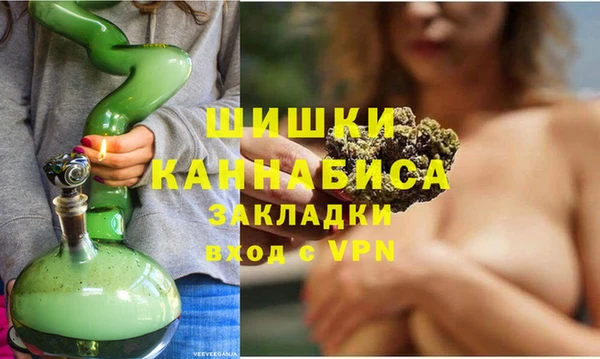 ешки Бородино