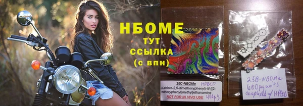 ешки Бородино